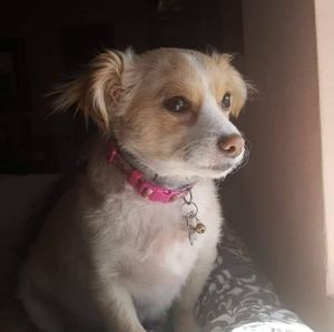 Meet your Posher, Maad